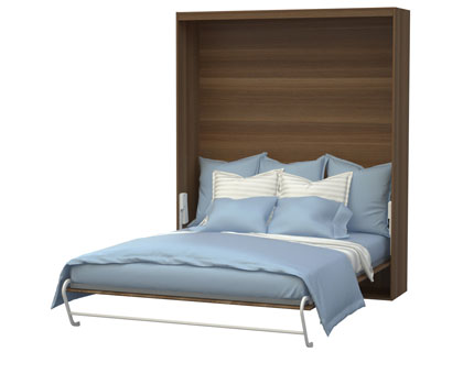 ���� �������