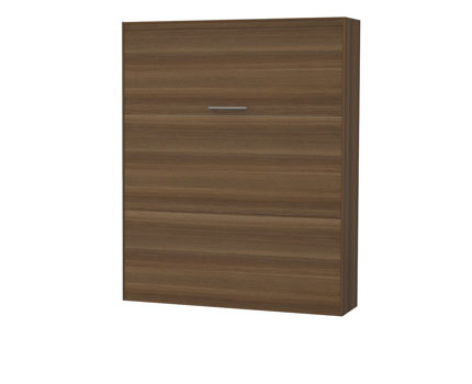 ���� �������