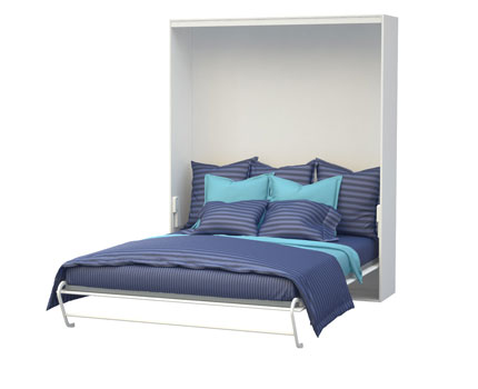 ���� �������