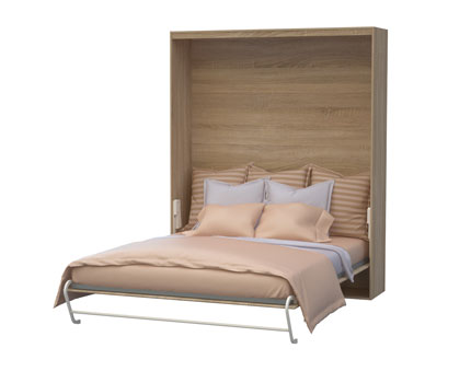 ���� �������