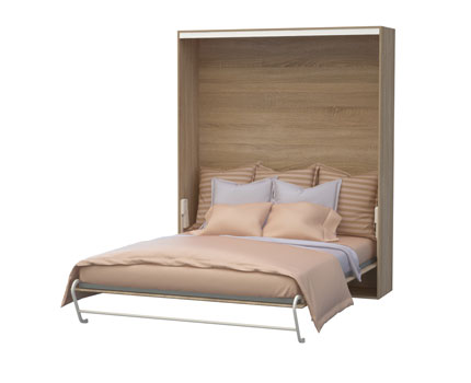 ���� �������