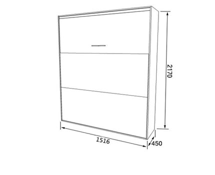 ���� �������