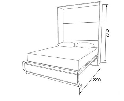 ���� �������