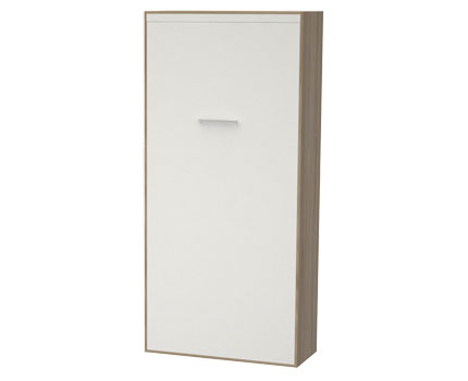 ���� �������