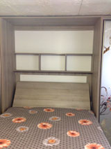 ����-������� �����