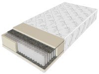 ������ ��������� ���� �������